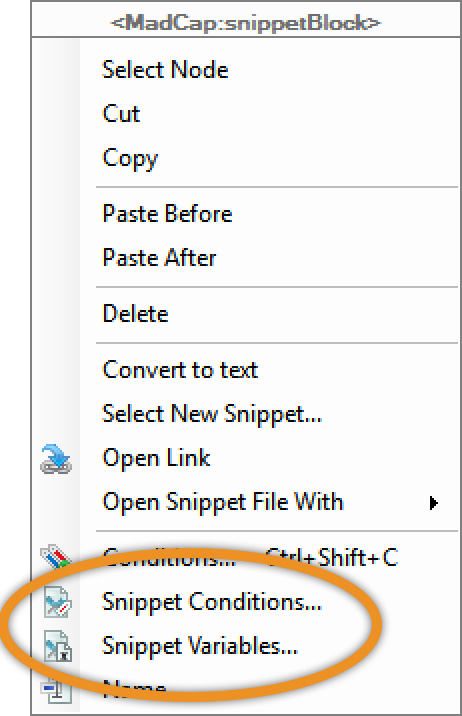 Contextual menu showing snippet options