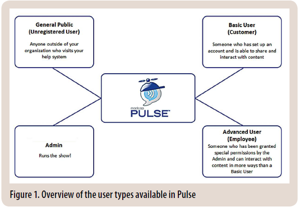 Figure 1. Overview of the User Types Available in Pulse