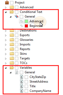 Conditions and variables can be applied by dragging from the Project Organizer