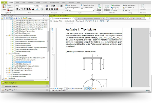 Screenshot of Flare Content Explorer