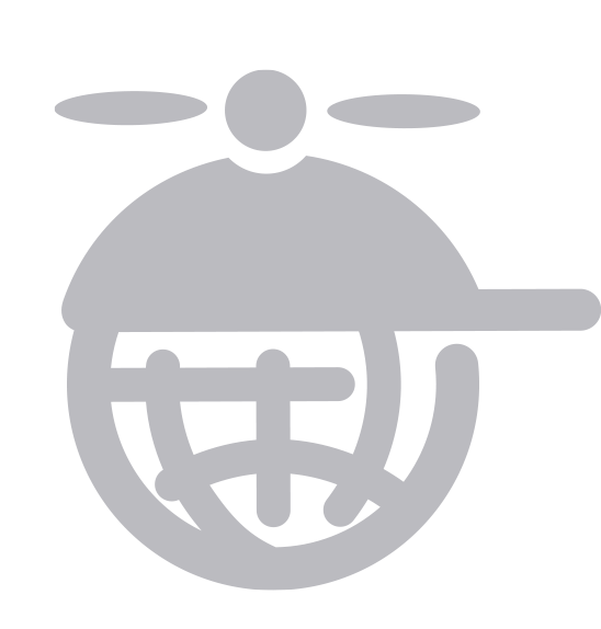 Translation Icon