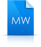Word Icon